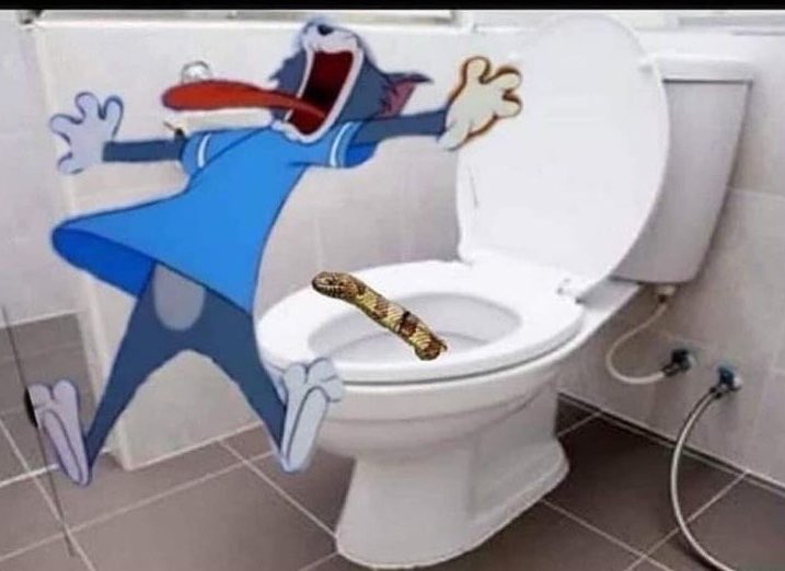 Rukayyah 🦋 tweet media