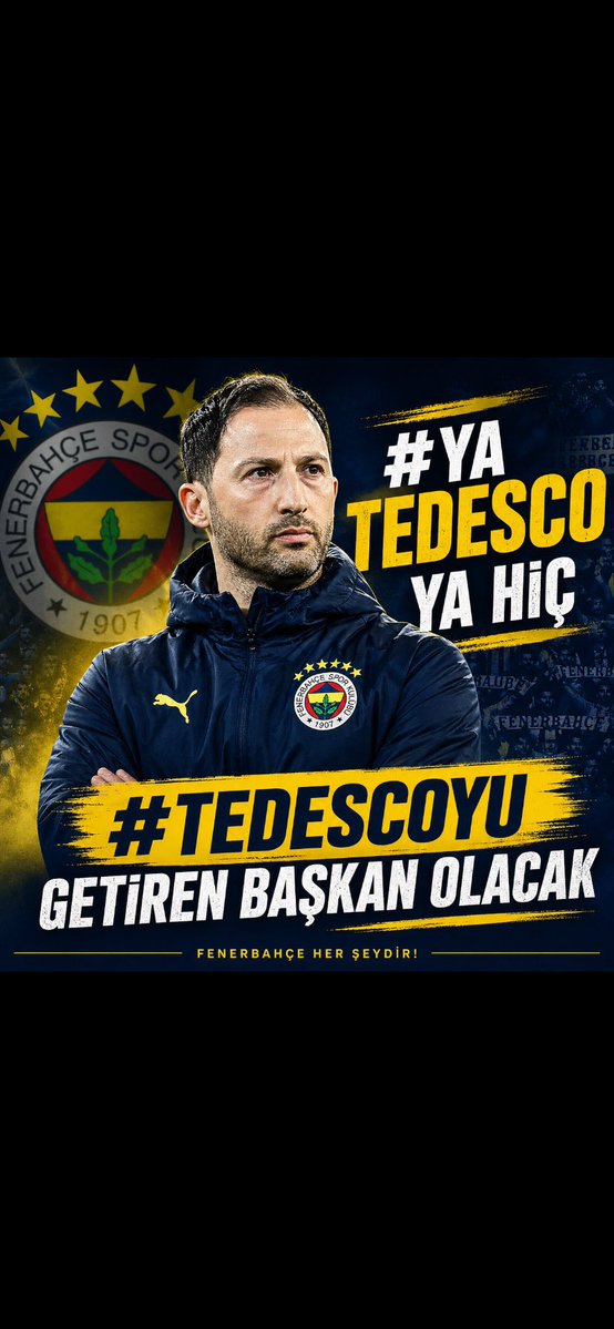 tsmtedesco tweet media