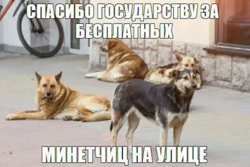 Евгений Фембойчик tweet media