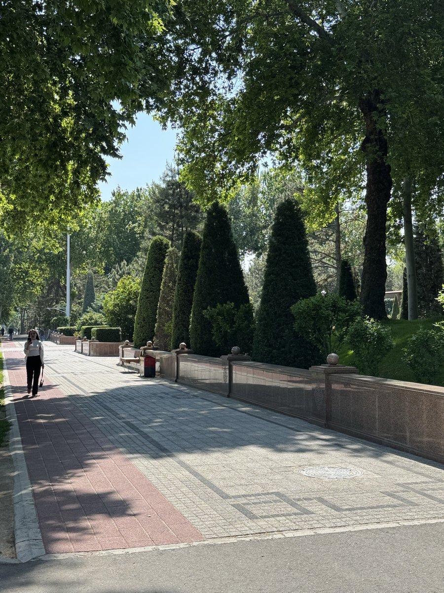 DrOsamaSiddique's tweet image. Just back from #Uzbekistan. Amongst  many positives 2 impressed deeply. 
(1) They are building green, livable, future-focused metropolises with TREES, public spaces &amp;amp; quality of life. (2) They are exalting &amp;amp; celebrating knowledge production &amp;amp; scholars 

@GovtofPakistan emulate