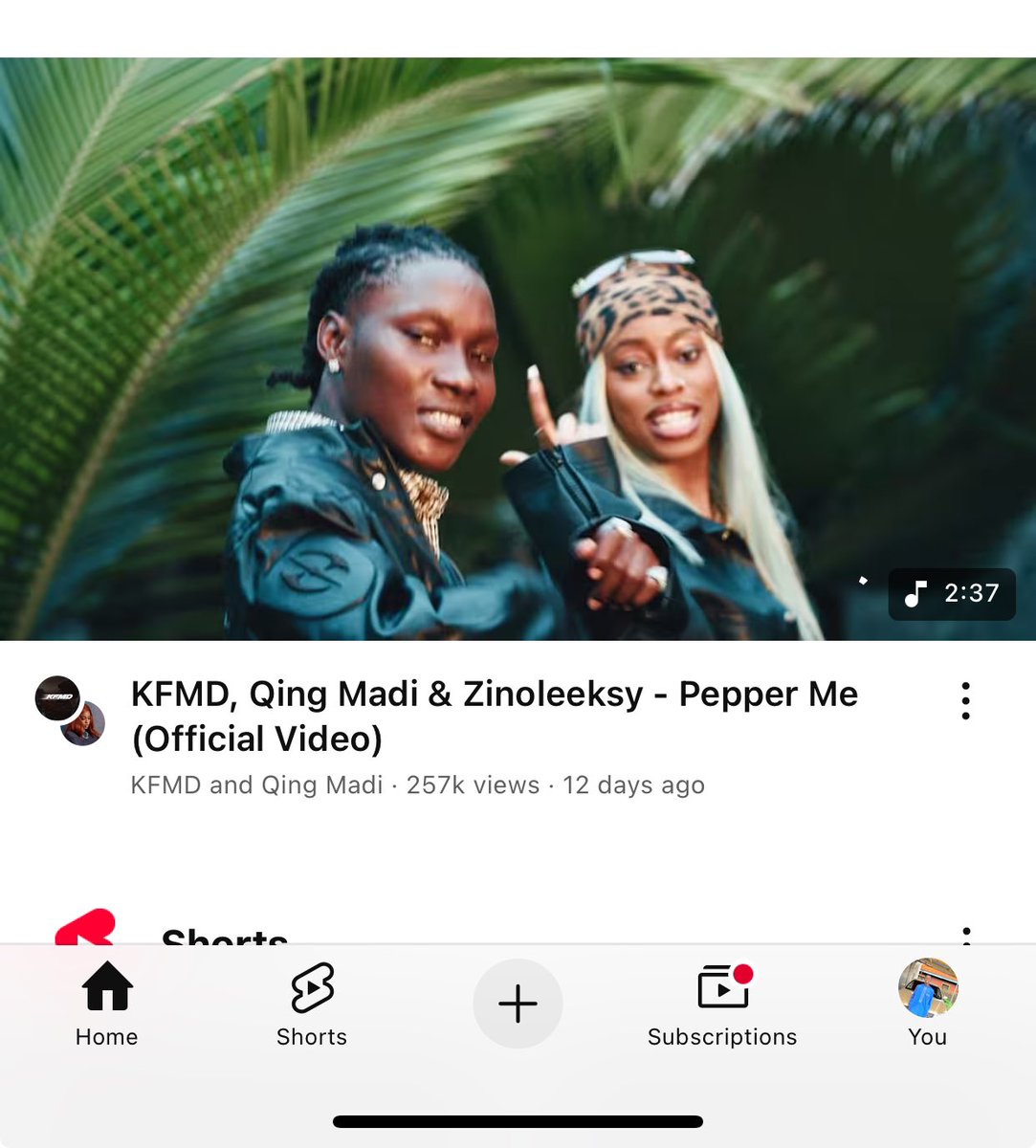 BLOWN BOY BAMMY 🕷️❤️🧌 tweet media