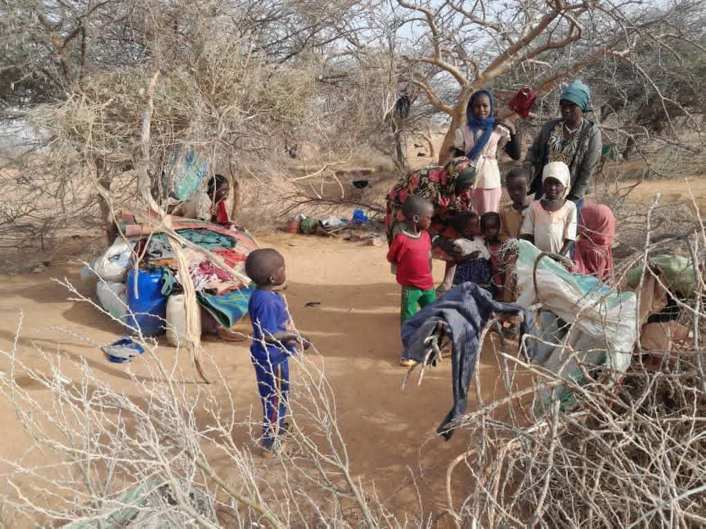 Sudan War Updates tweet media