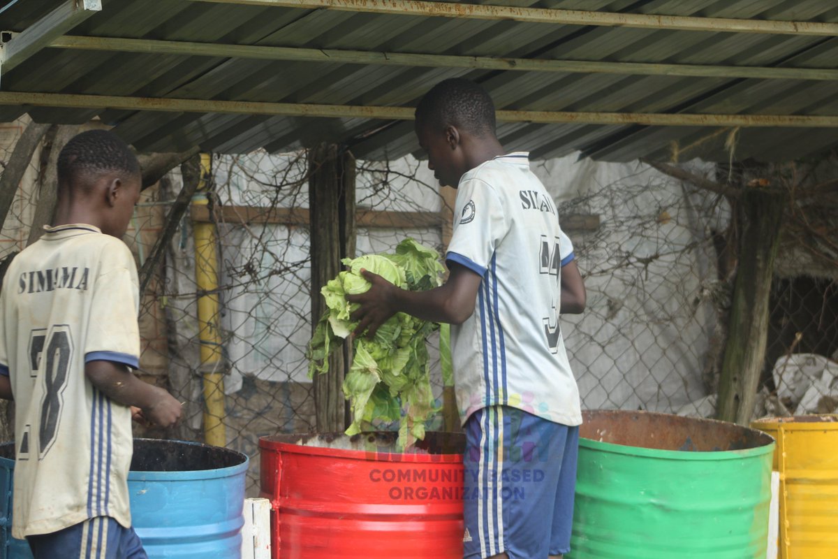 simamacbo's tweet photo. Transforming Kariobangi one initiative at a time 🌱

Through urban gardening, recycling, and environmental stewardship, Simama CBO is empowering children and youth with practical skills to create cleaner, greener, and more sustainable communities. #CommunityImpact https://t.co/coF4y3ZV6i