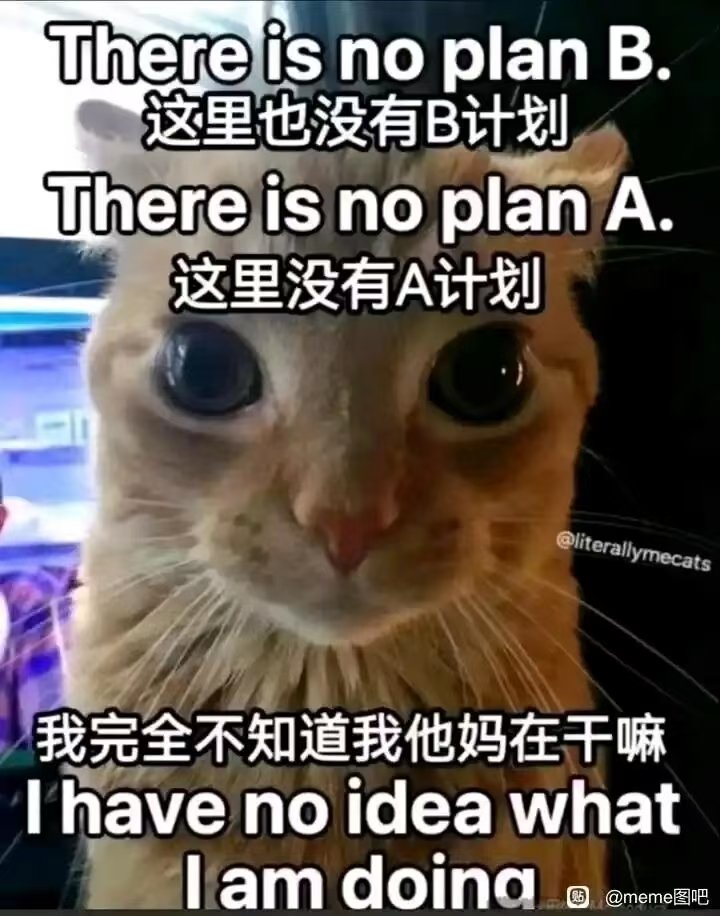 杰森不是林 tweet media