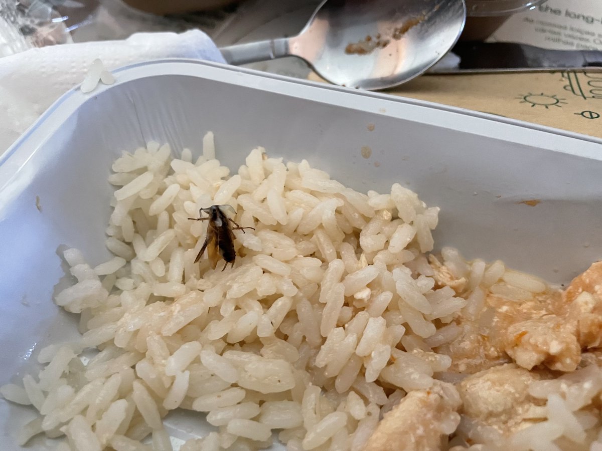 pedrosimao's tweet image. Atenção brasileiros e portugueses que utilizam o serviço da #tap #flytap #tapairportugal.
Nessa segunda-feira, dia 27/04/26, num vôo Rio de Janeiro - Lisboa, encontrei uma barata na minha refeição. A equipe de bordo continuou servindo as refeições contaminadas após ser alertada.