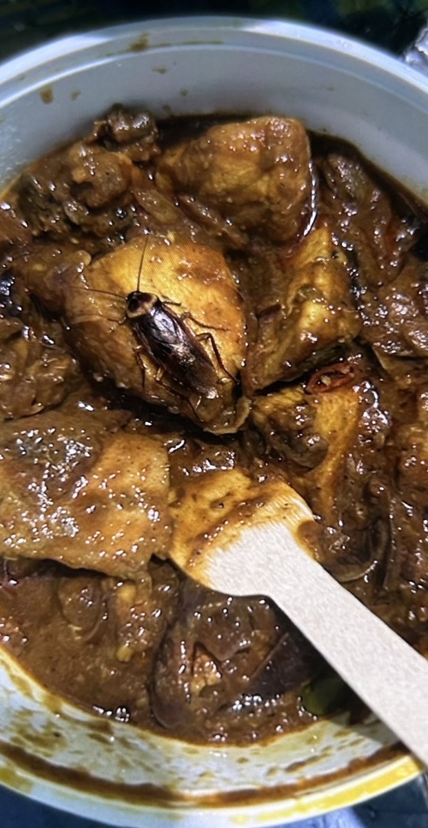 rabito786's tweet photo. Dear @zomato @zomatocare 

I ordered chicken kosha but 

Mujhe mila Cockroach 
🪳 sabji pe 
Or tumhara support team denied kar raha hai refund dene keliye https://t.co/RPYQzmJwDf
