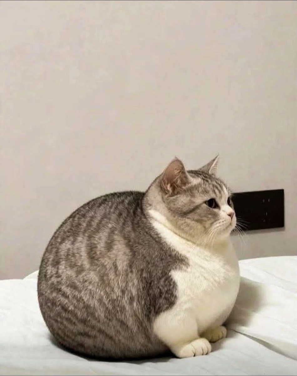 Diego Royet tweet media