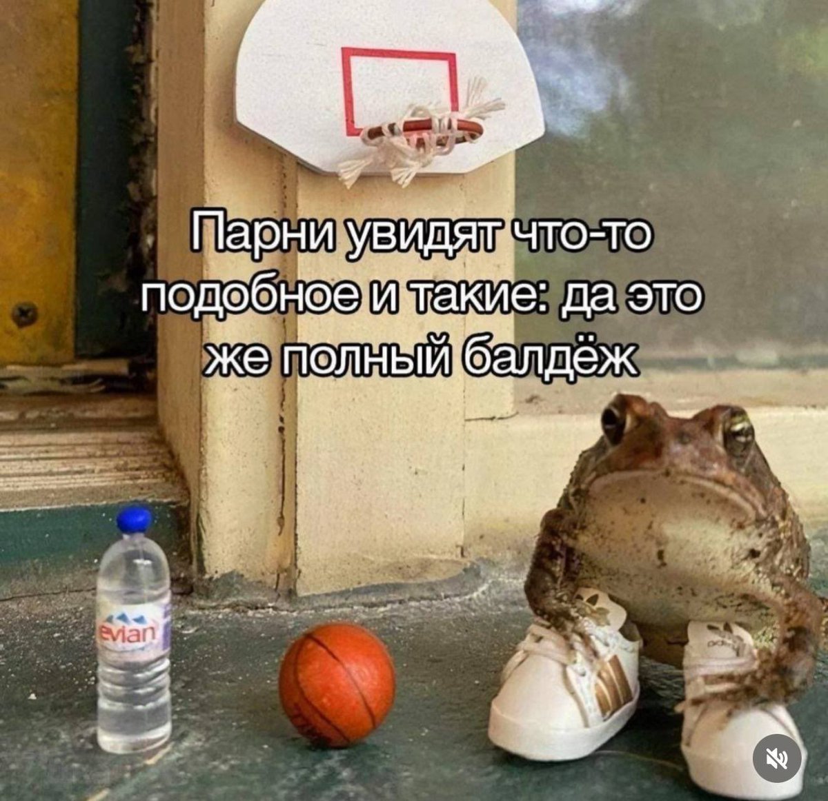 анатолий капустин (@a_kapustin) on Twitter photo 