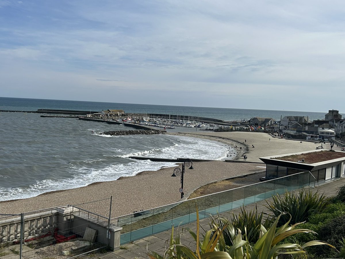 zoeapatrick's tweet image. Sunny but breezy in Lyme Regis today but seagulls still happy to steal your lunch #seaside #beach #seagull