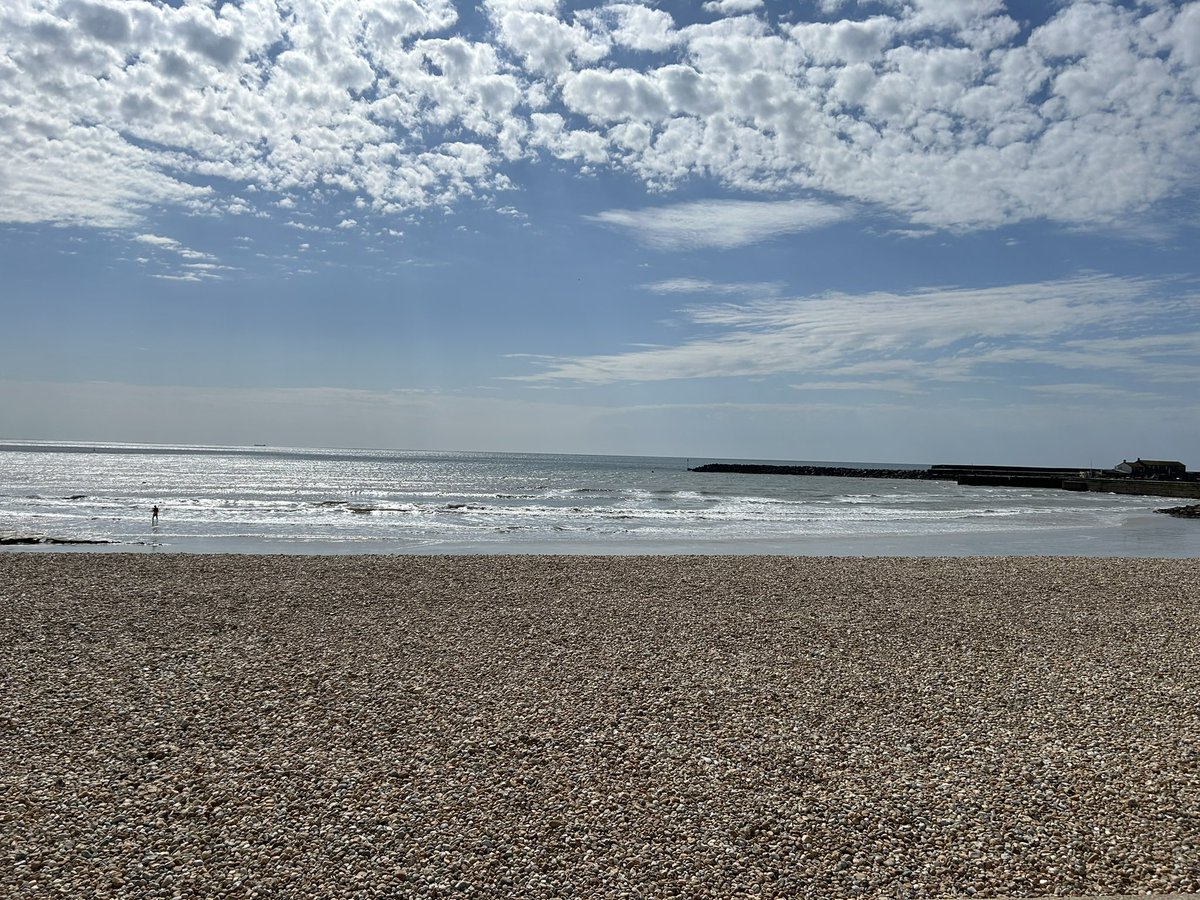 zoeapatrick's tweet image. Sunny but breezy in Lyme Regis today but seagulls still happy to steal your lunch #seaside #beach #seagull