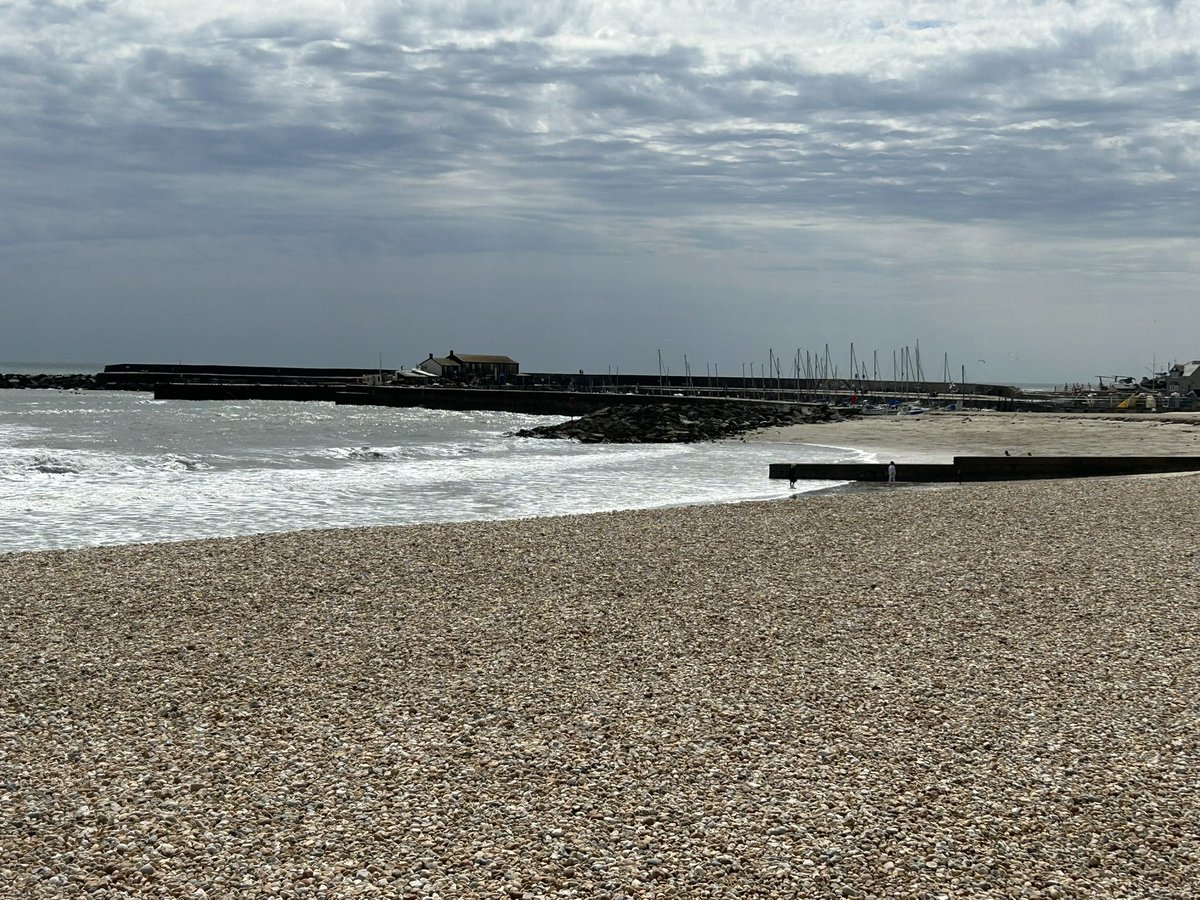 zoeapatrick's tweet image. Sunny but breezy in Lyme Regis today but seagulls still happy to steal your lunch #seaside #beach #seagull