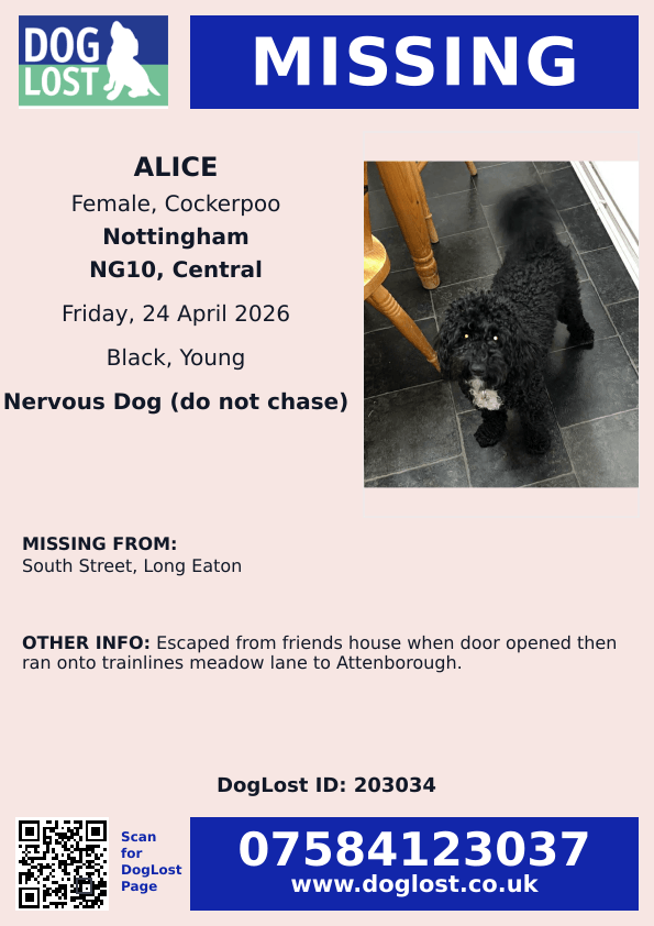 millypod1's tweet image. 🆘24 APR 2026 #Lost Alice #ScanMe #PUPPY
YOUNG Black &amp;amp; White Cockerpoo Female
South Street #LongEaton #Nottingham #NG10
Escaped from friends house when door opened then ran onto trainlines Meadow Lane to Attenborough.
doglost.co.uk/dog/203034