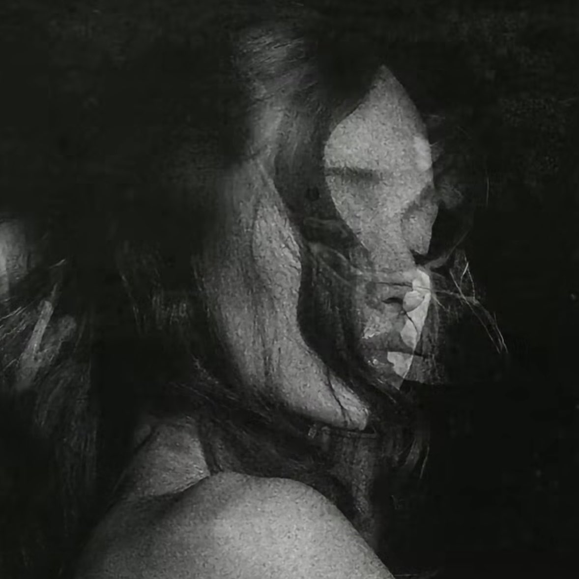 allegra☀️ tweet media