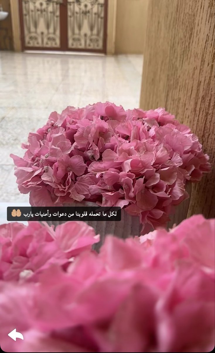 بيـاض الغـيـم☁️ tweet media