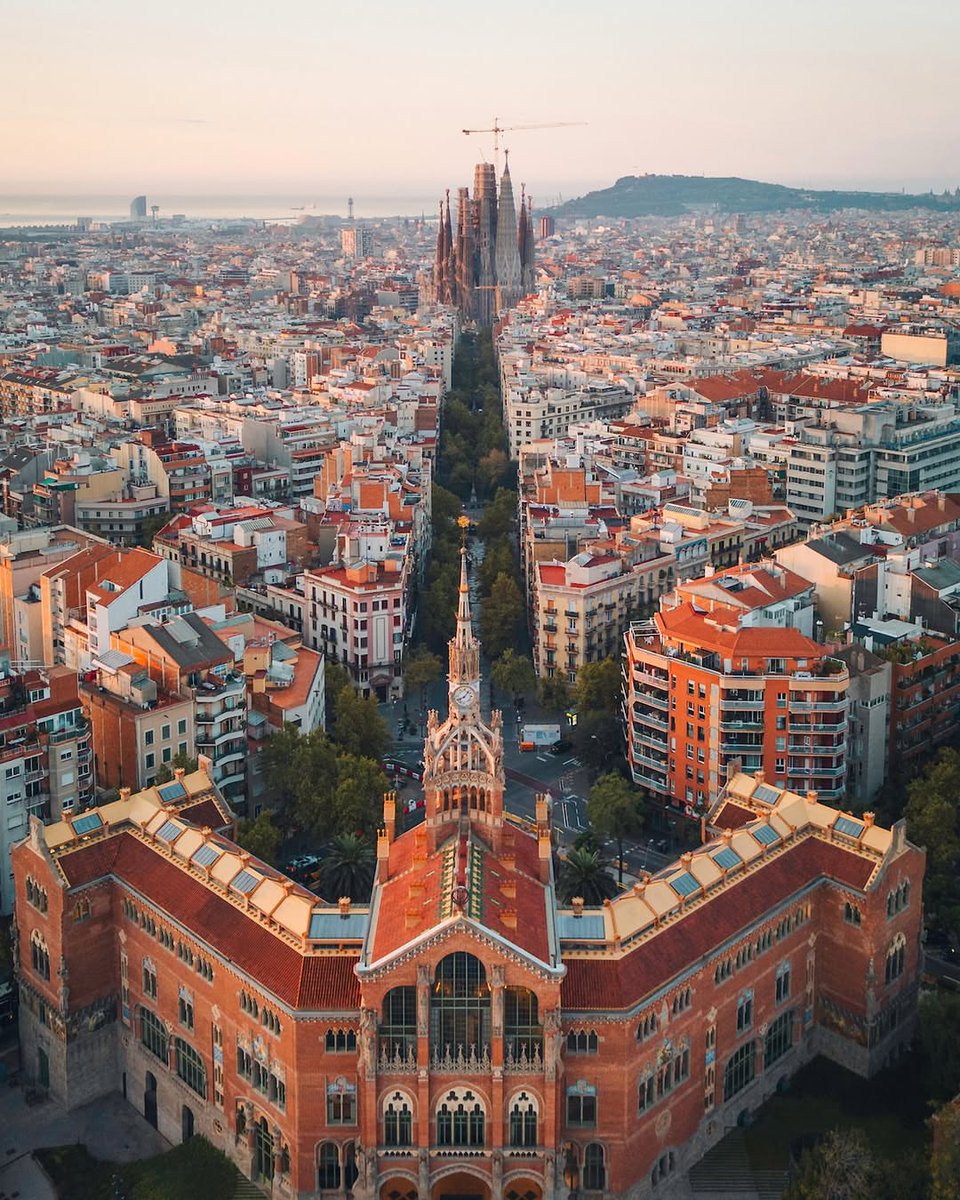 World Best tweet media