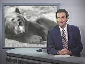 Bart, the eighteen hundred pound bear, who co-stars with Anthony Hopkins and Alec Baldwin in the movie The Edge, reportedly earns a whopping ten thousand dollars per day as a Hollywood actor.

A small amount of the grizzly's income goes toward the preservation of bears' natural