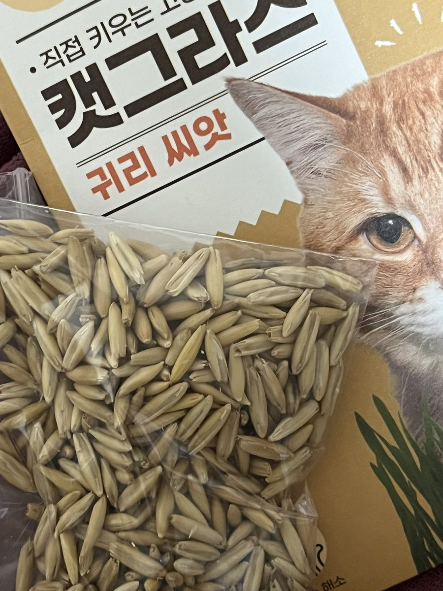 애끼ᲘᲘ ༘⋆ tweet media