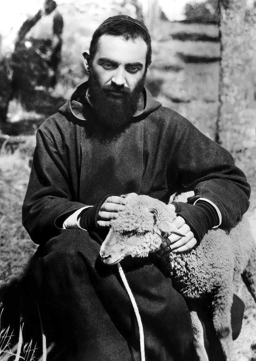 Adrian F. Pascal 🇻🇦 tweet media