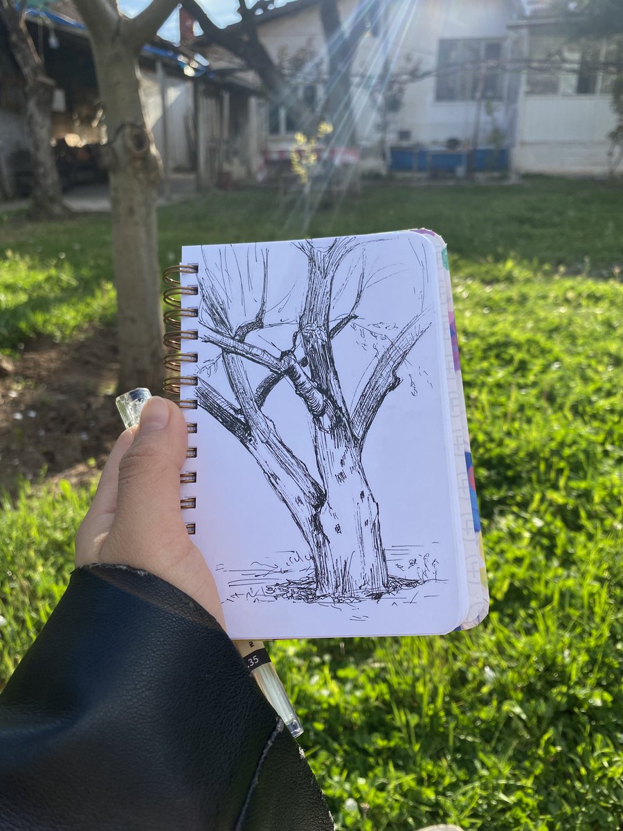 talobr0's tweet photo. bu kalem olayına alışmaya ve portre dışında bir şeyler karalamaya çalışıyorum https://t.co/pNUBXiXuzn