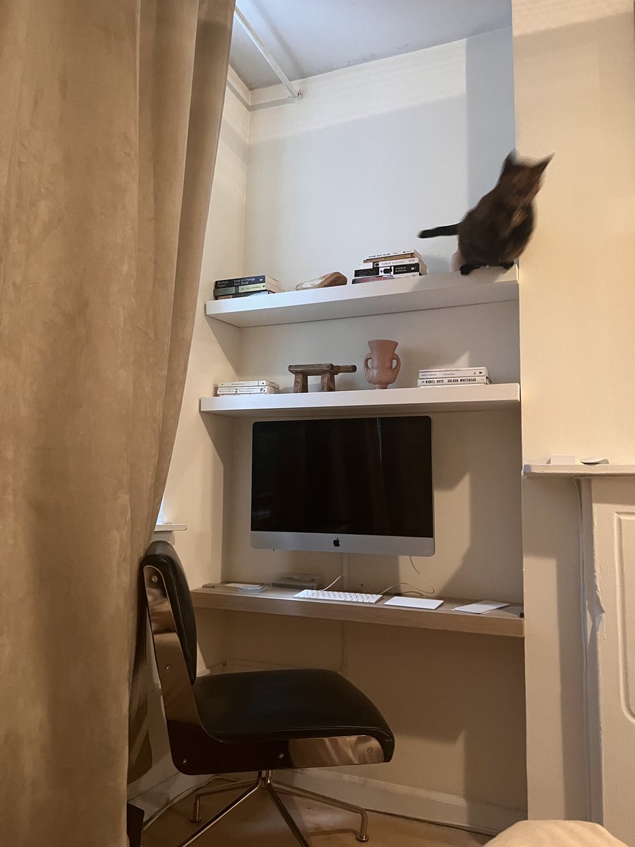 temu joan didion tweet media