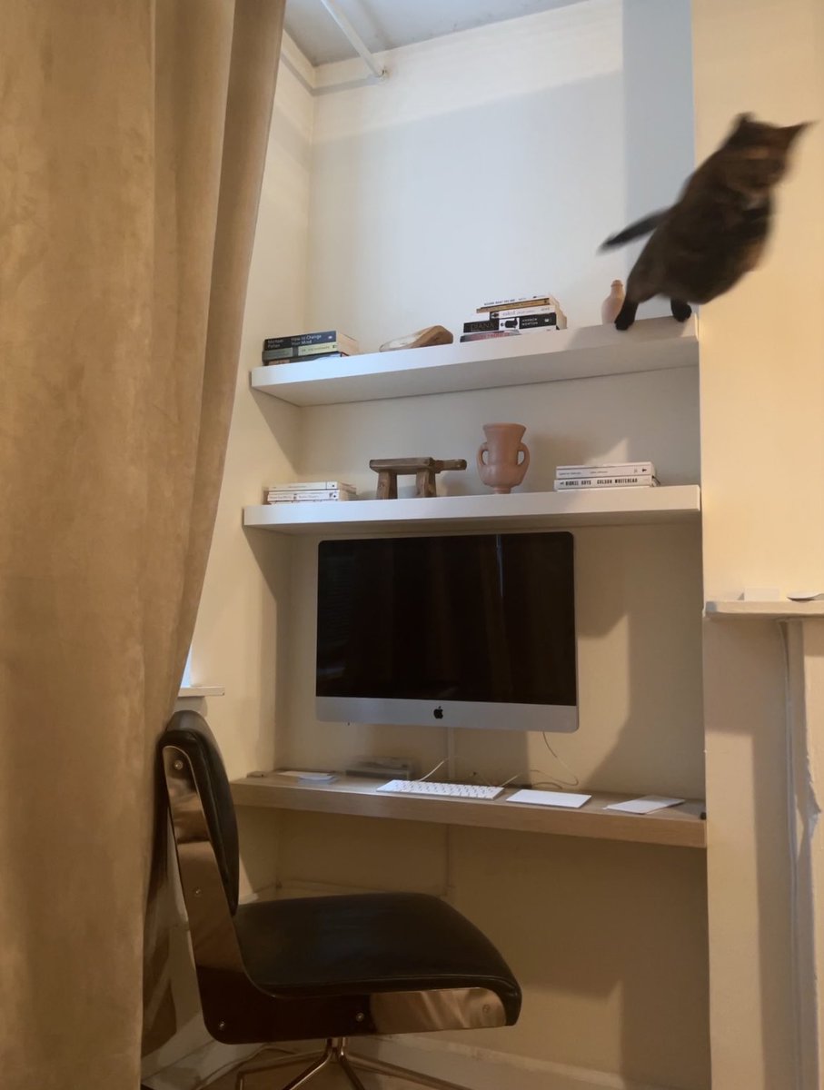 temu joan didion tweet media