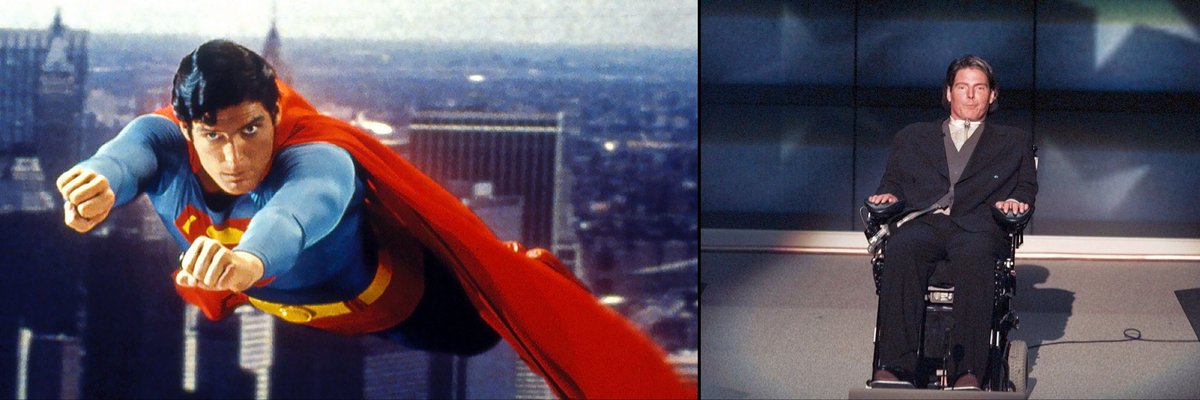christopher reeve broke his neck in 1995 and lived nine years on a ventilator. in those nine years he gave the most-watched speech at the 1996 democratic national convention, wrote three books, and started a foundation. his wife dana made it seventeen months after he died…