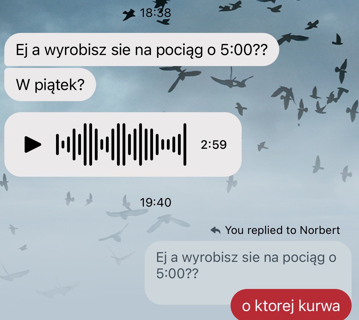 Viktor𒉭 tweet media