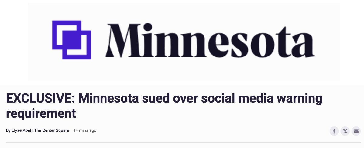 NetChoice's tweet photo. In an exclusive piece at @thecentersquare with @ApelElyse, @Paul_Taske discusses why our newest lawsuit against Minnesota is so important for the future of free speech 📢🇺🇸 https://t.co/IiHHP6n40e