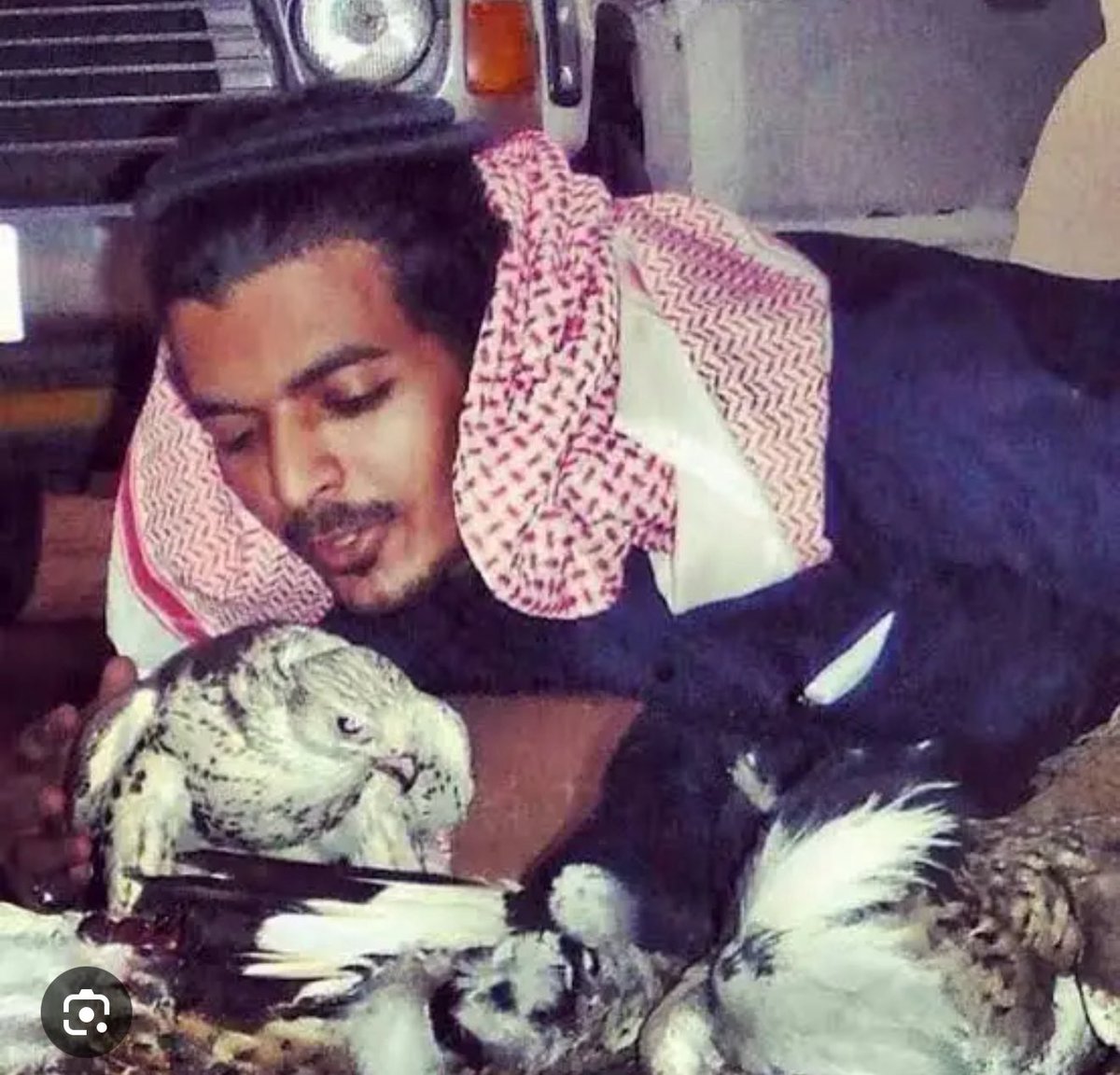 نجمه🌟 tweet media