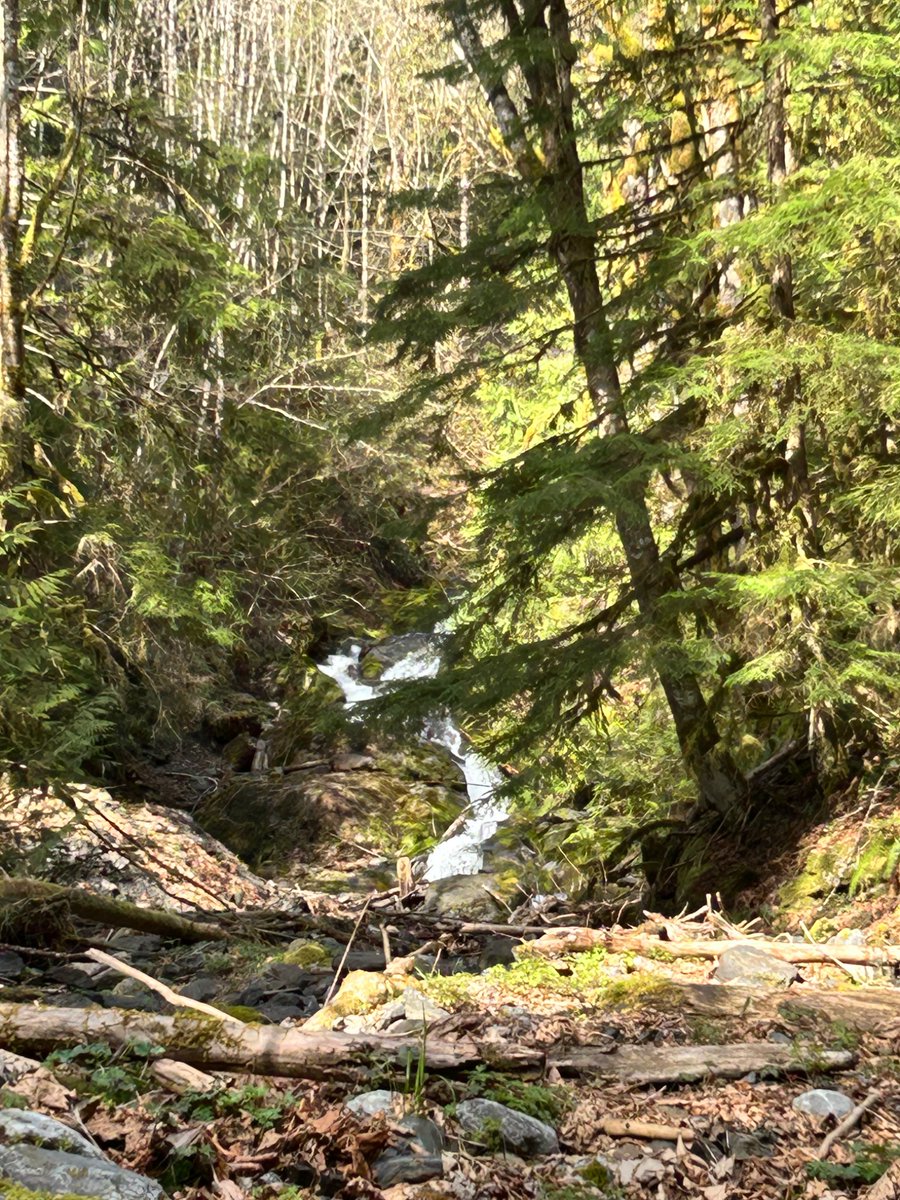 LiaRoseSFW's tweet photo. The places I get to play 😈 https://t.co/Tyrnr5iPHN