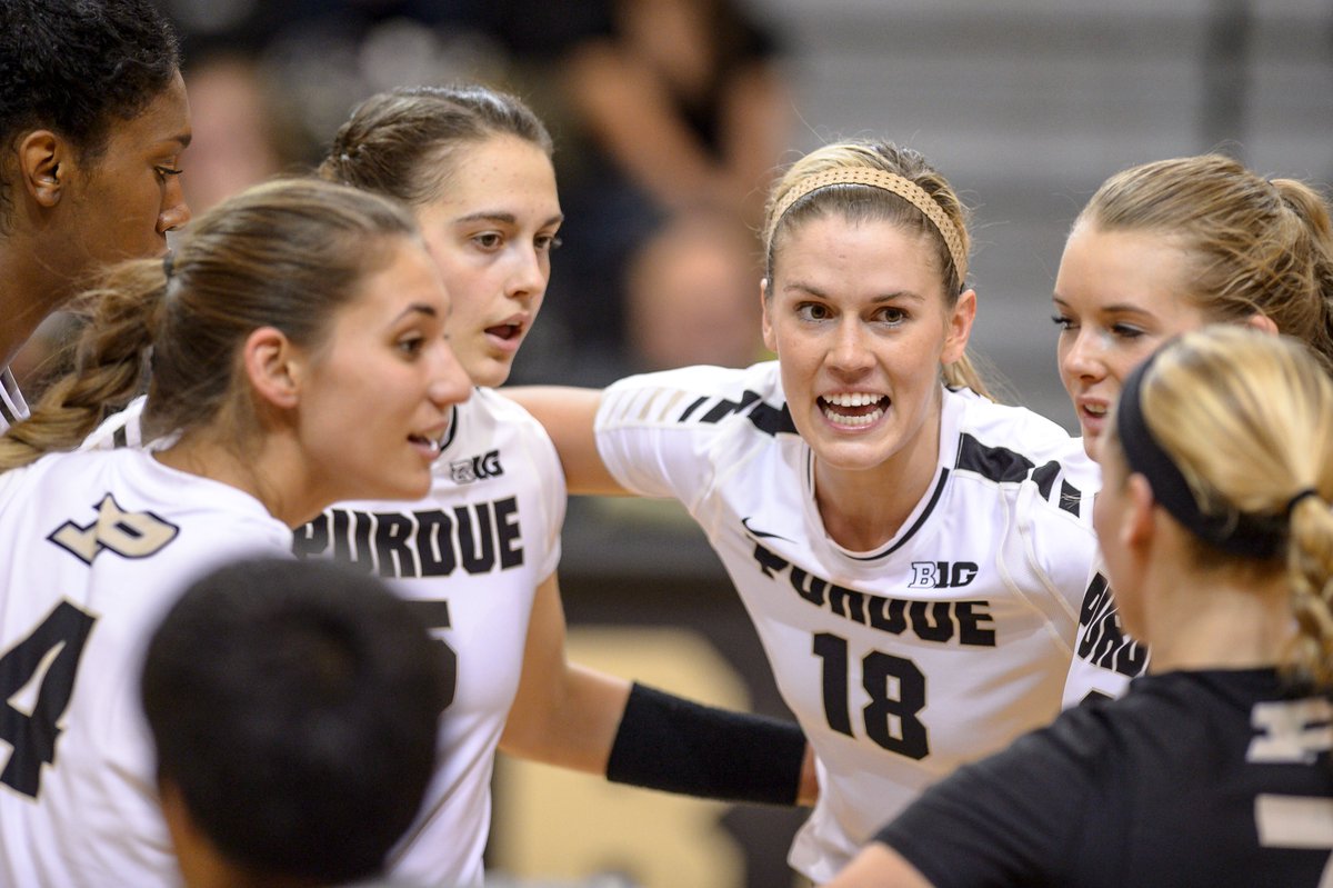 Purdue Volleyball tweet media