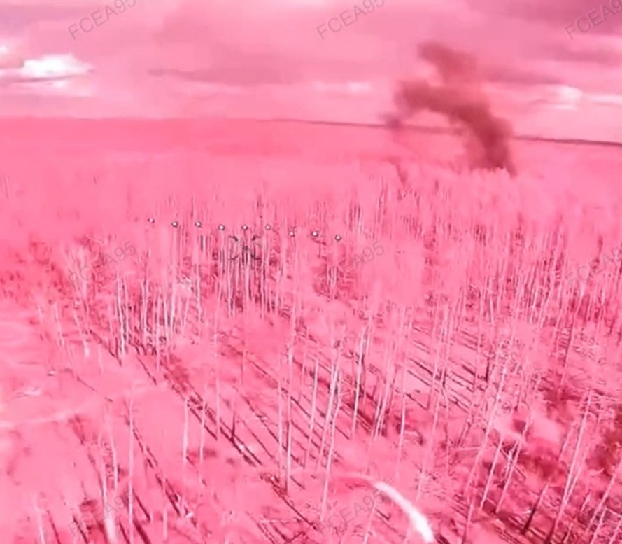 токсічний інвалід tweet media