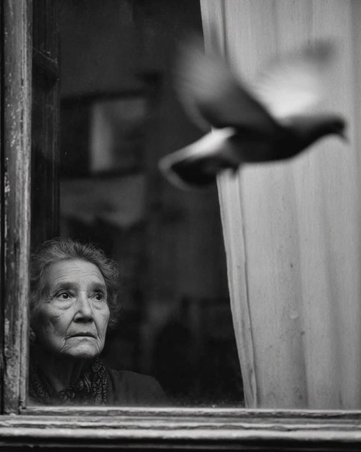 هـانیـــــه🟩☫🟥 tweet media