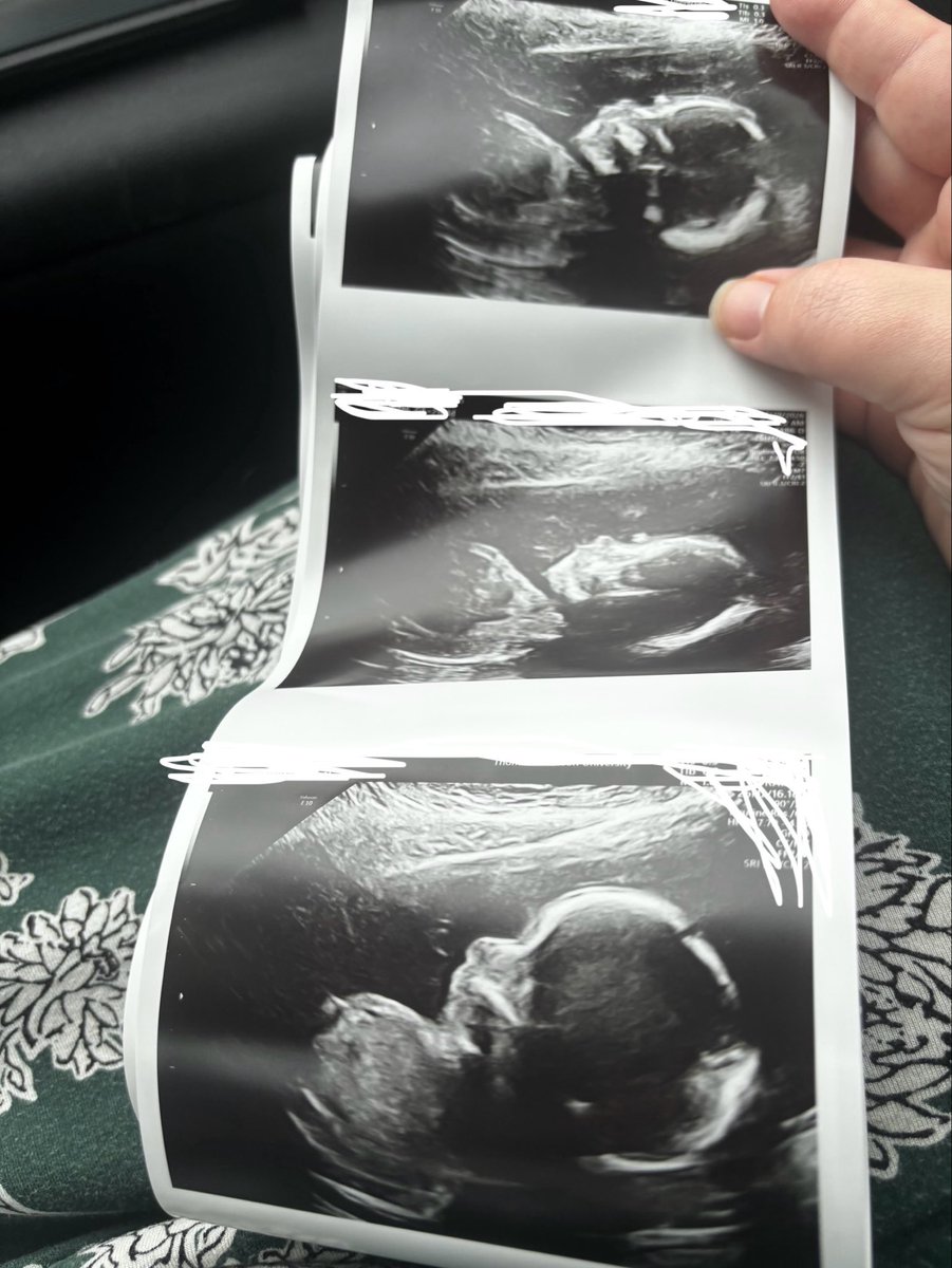 domestic grace tweet media