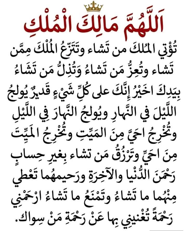 Amira Youssef tweet media