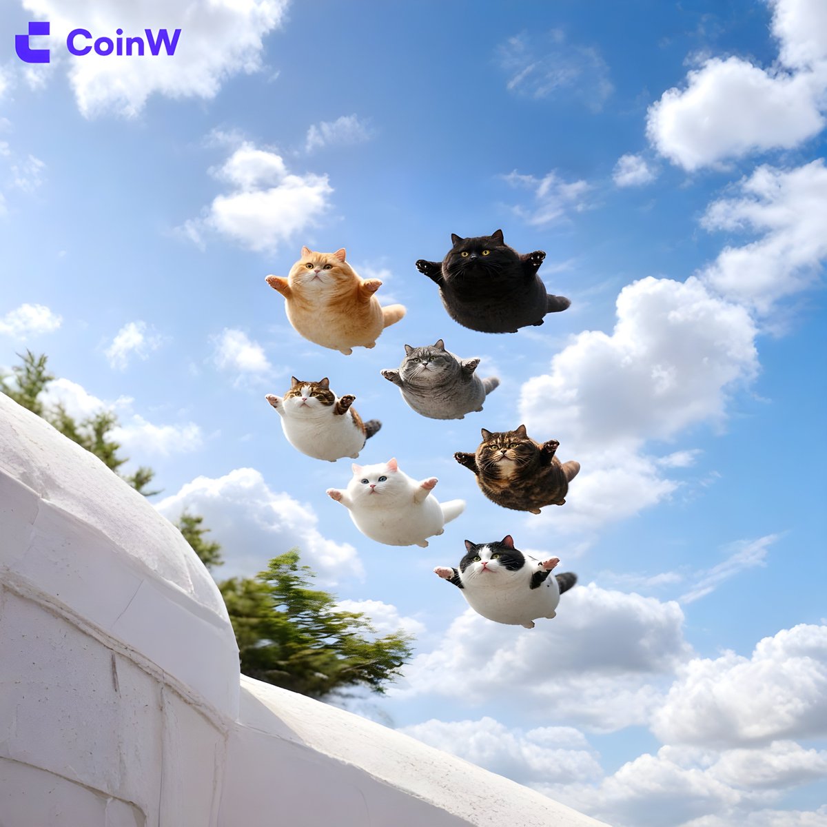 CoinW币赢 tweet media