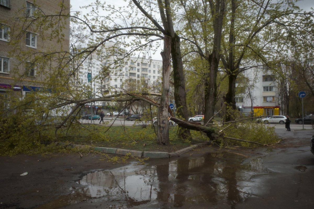 defocusd tweet media