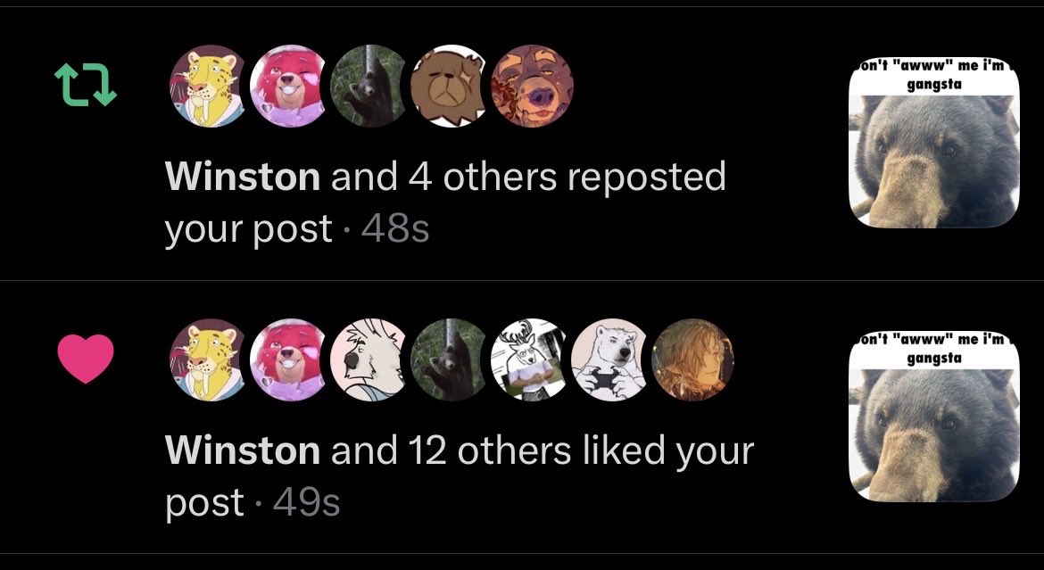Eggroll 🐻‍❄️ tweet media