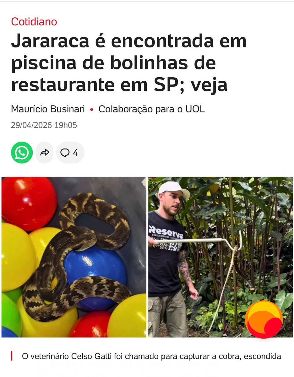 rodrigosobral's tweet photo. https://t.co/tHBq1ssU6o