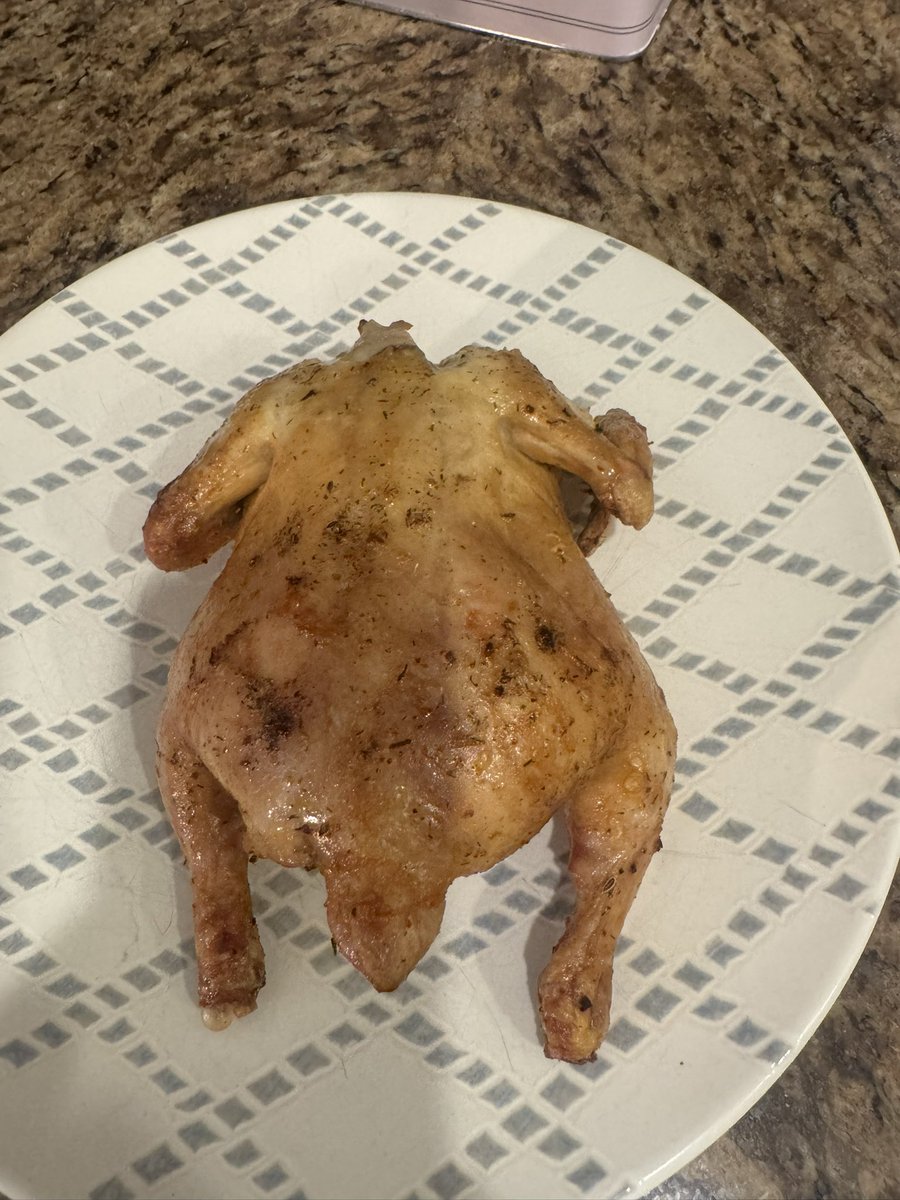 Mikehomeseller's tweet image. I made a game hen in the air fryer tonight. My wife said it turned out great. Would you try it?

#mikesquestions #Foodie #cooking