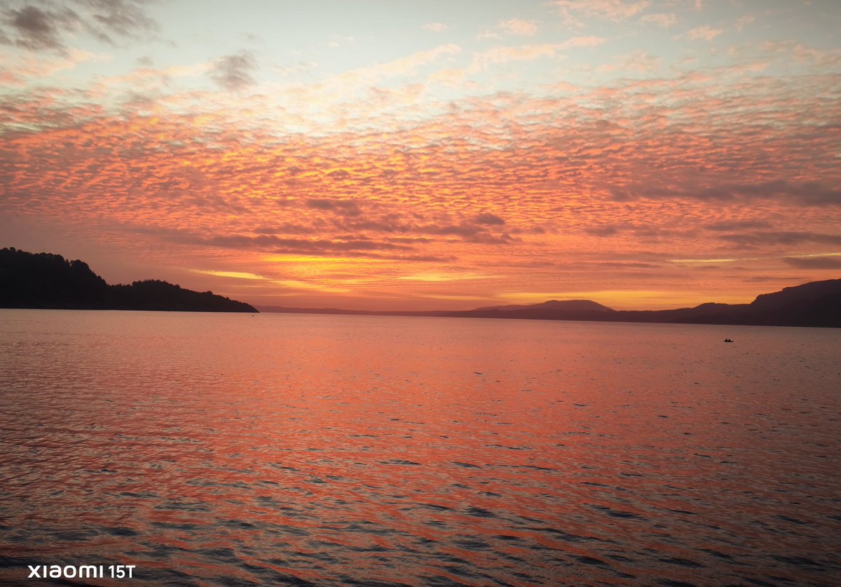 🌹Flor de Azafrán🌹 tweet media