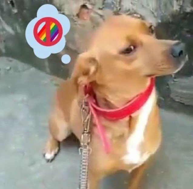 m 🗡️ tweet media