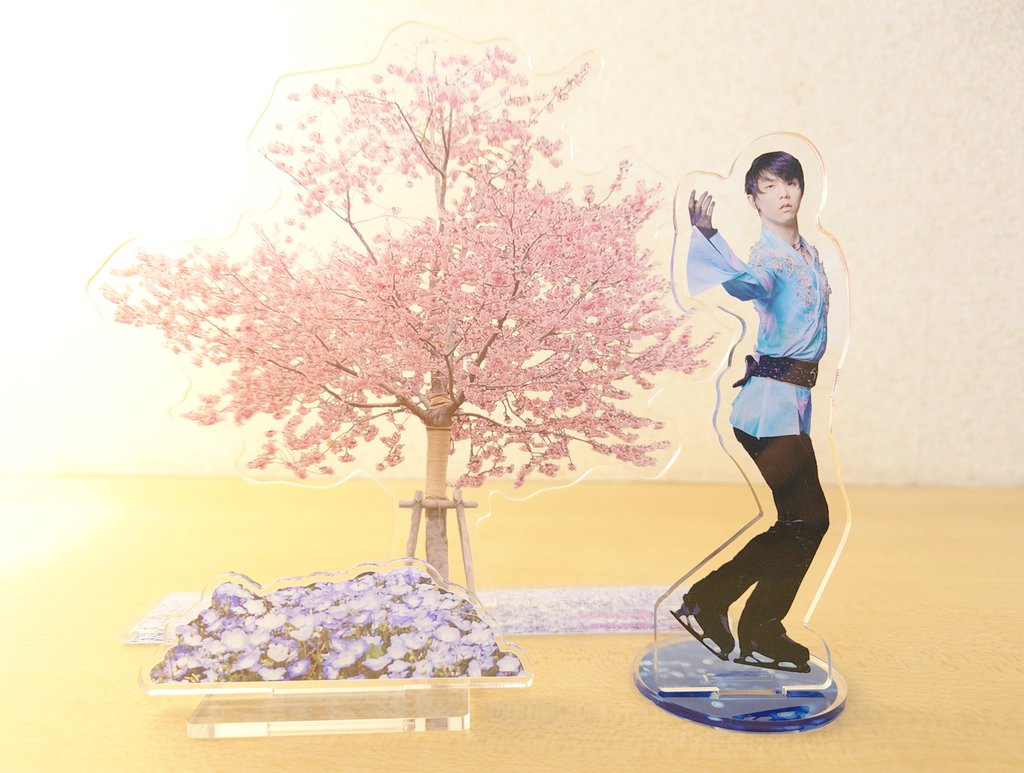 ゆづ桜（陽光）のアクスタ届いた🌸かわいい🥹 #羽生結弦
