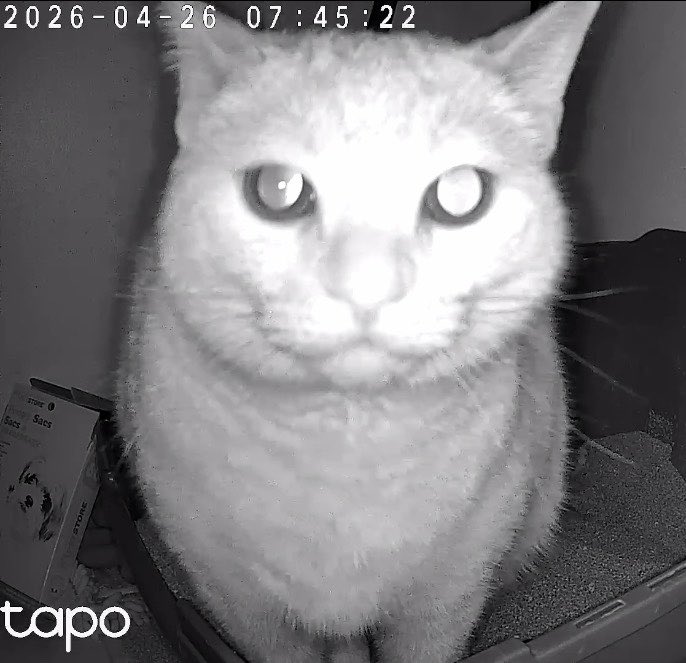 Jup1t3r5 tweet media