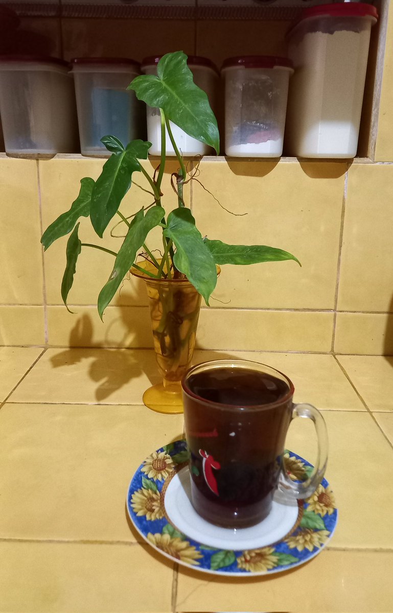 Sweet mommy tweet media