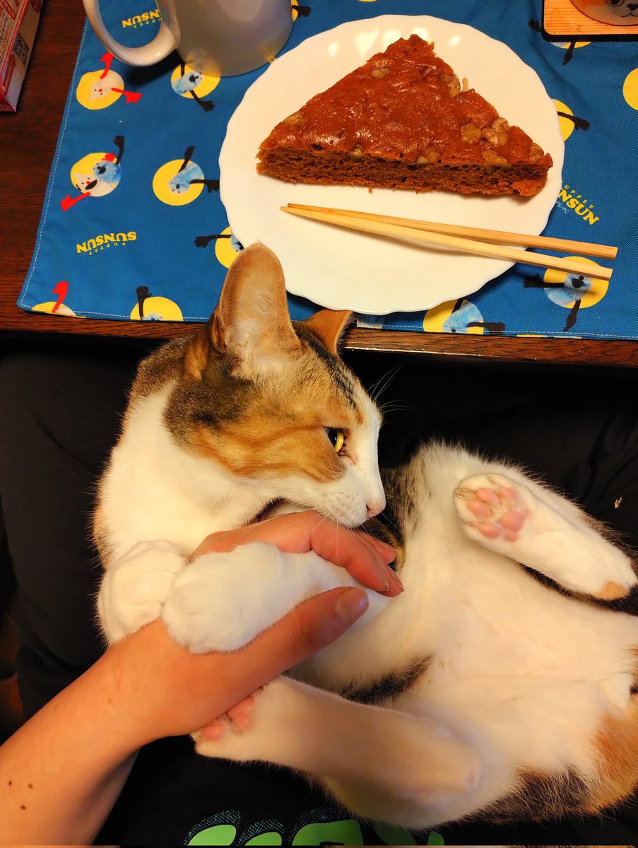 にこちゃまちゃんぬる tweet media