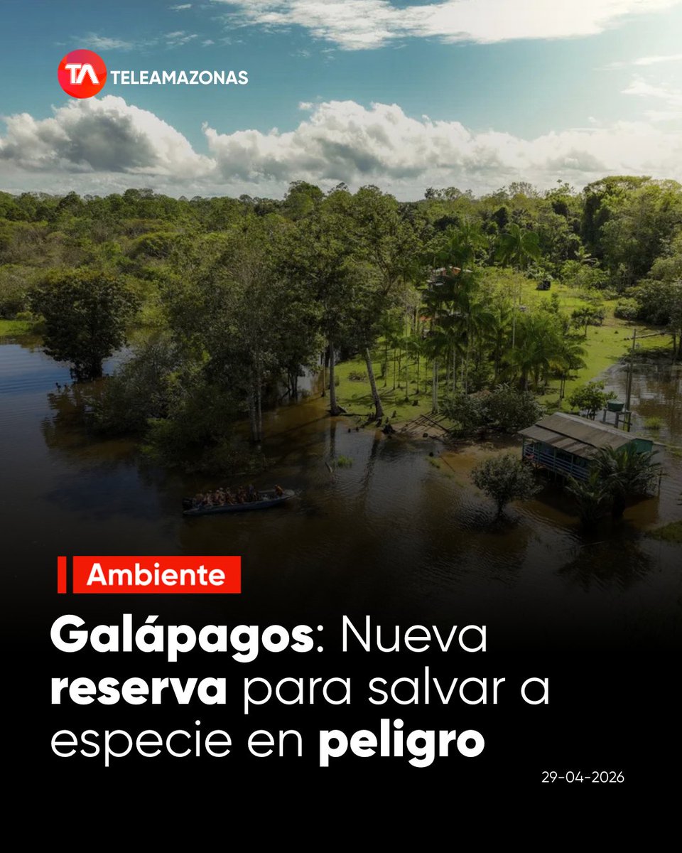teleamazonasec's tweet image. #Ambiente | La Fundación Jocotoco inauguró la Reserva Los Petreles en San Cristóbal para proteger al petrel de Galápagos de la extinción. Revisa el reporte aquí: f.mtr.cool/jzxlbikxok