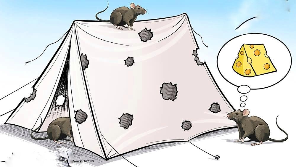 دكتورة حنان tweet media