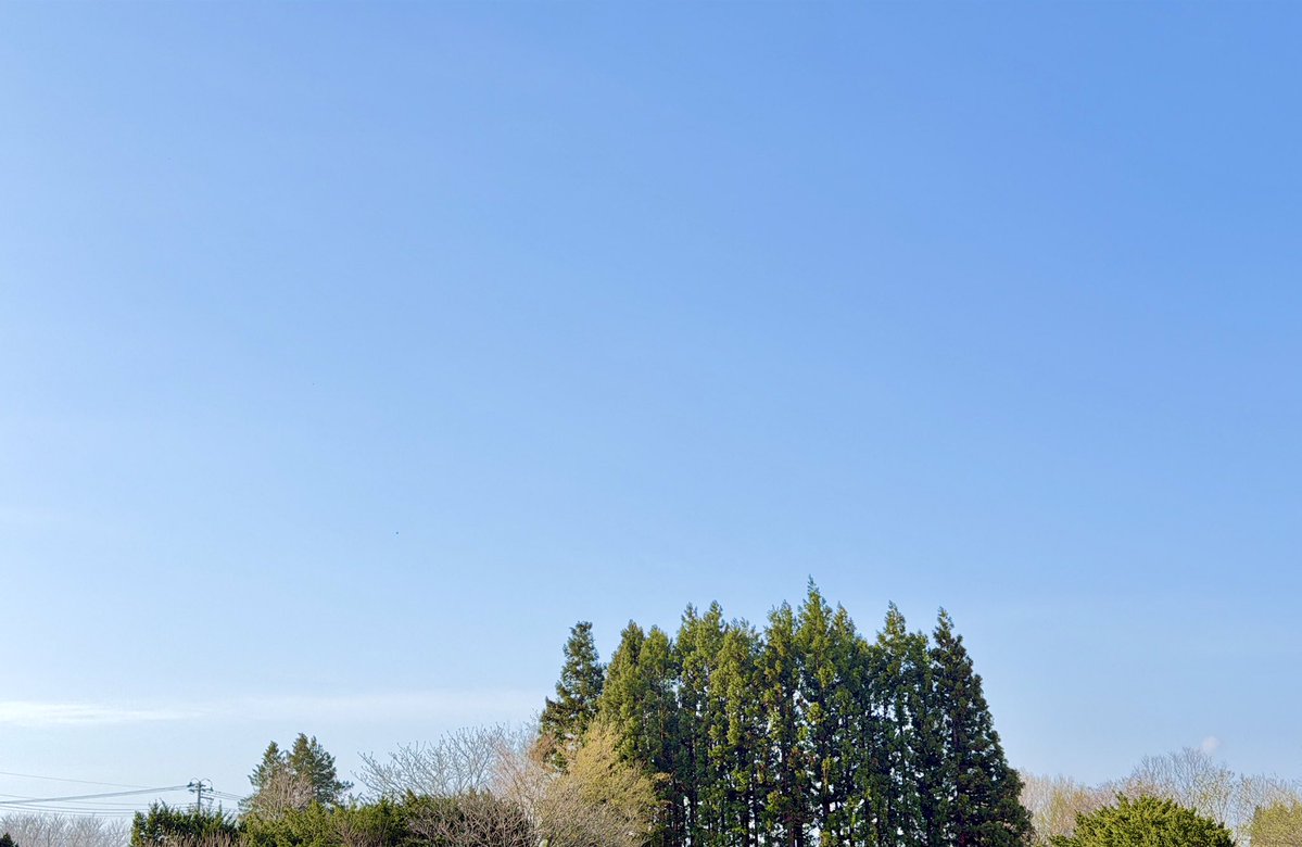 ジィジ🍀 tweet media