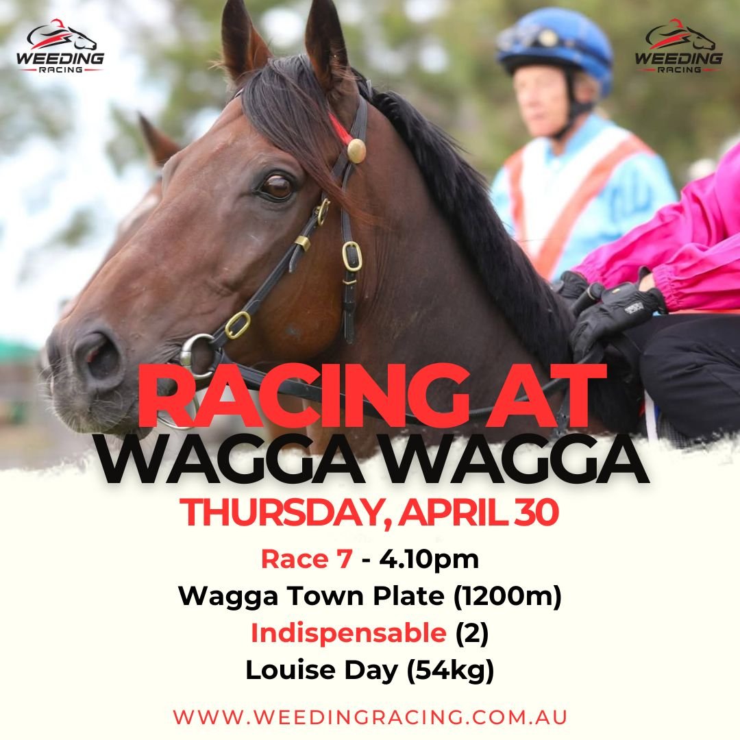 craigweeding's tweet photo. Indispensable contests today's $200,000 Wagga Town Plate.

Good luck everyone. https://t.co/JiKHal91fX